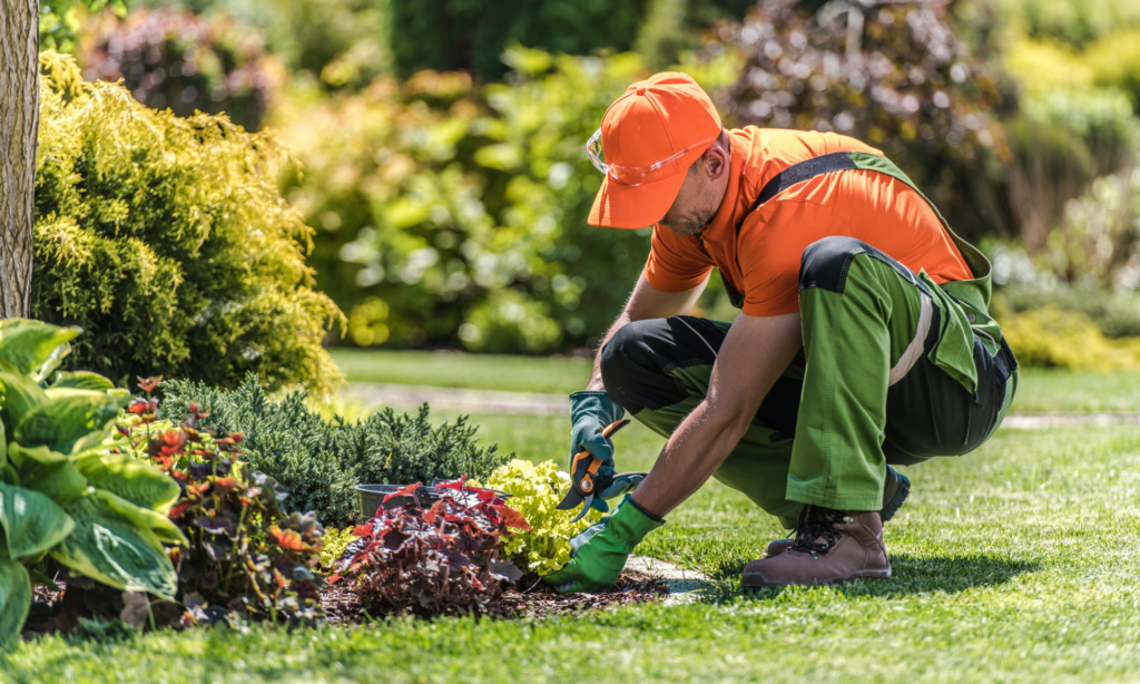 Empresa de limpieza, mantenimiento de piscinas y jardinería en Madrid