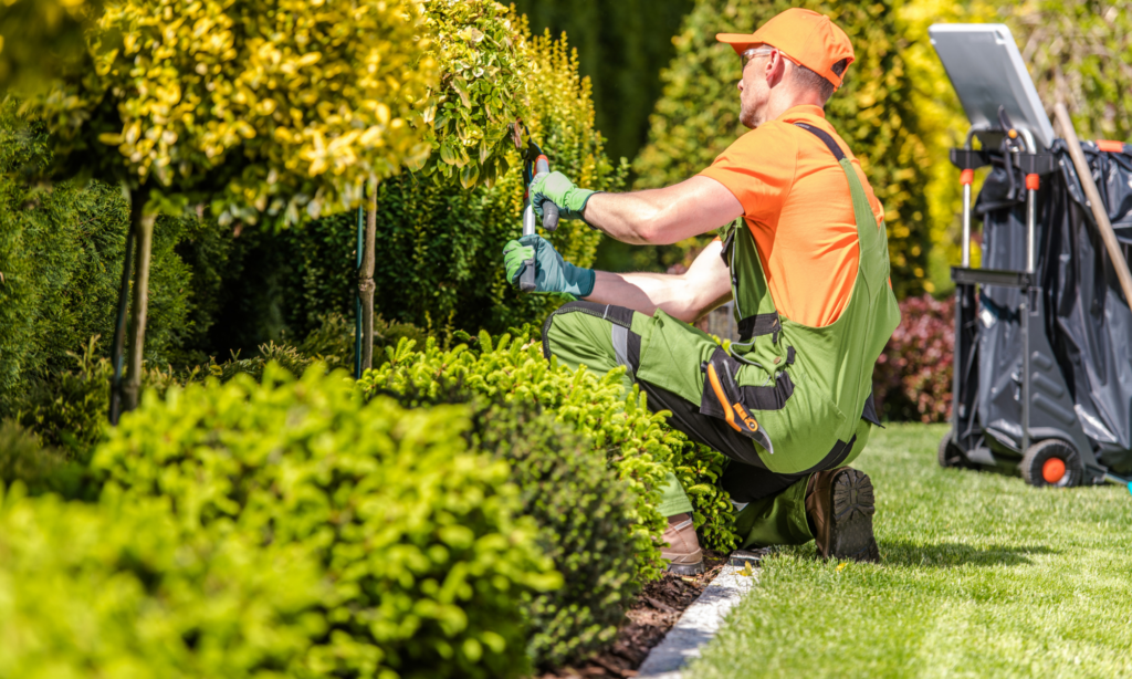 Servicio de jardinería en Madrid