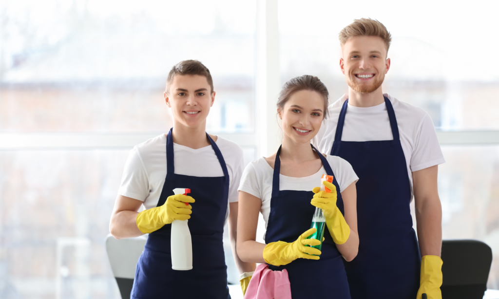 Equipo especializado en limpieza, piscinas y jardinería en Madrid